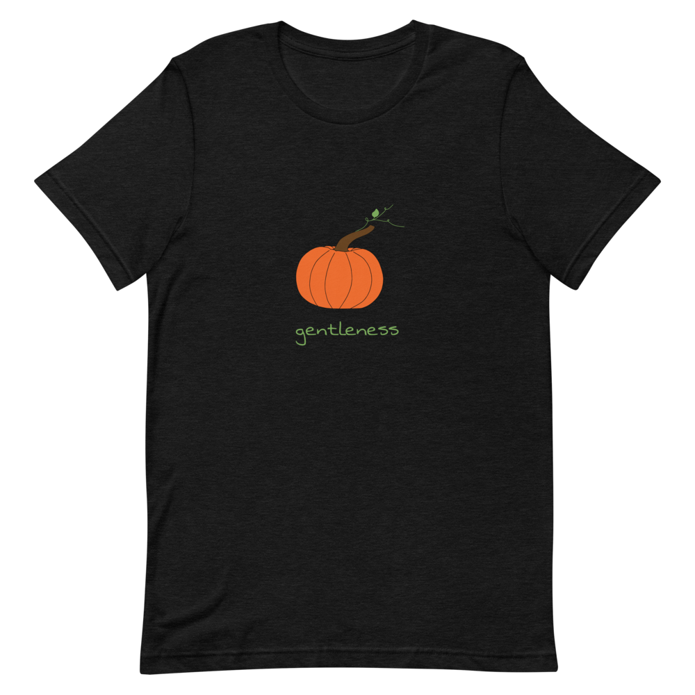 Pumpkin Gentleness T-Shirt in Black Heather